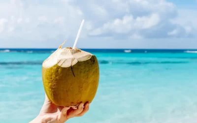 The Beach Bar Returning Soon (Finally!)