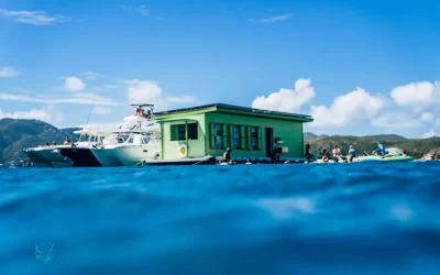 Lime Out Floating Taco Bar